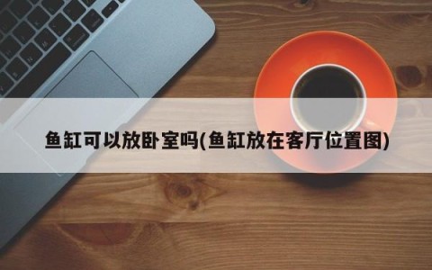 鱼缸可以放卧室吗(鱼缸放在客厅位置图)